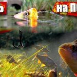40 ОКУНЕЙ за 40 минут на поппер yu-zuri 3ds