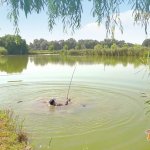 Карп утянул удочку в воду ! Как заставить карпа клевать в жару и получить кучу прикормки бесплатно ?