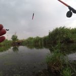 Рыбалка на речке, карась на поплавочку/рыбалка как есть.