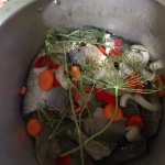 Домашние консервы в масле из рыбы/плотва, краснопёрка.