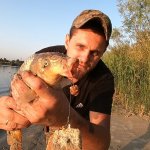 Рыбалка на закидушки и крокодил.На реке Дон с ночёвкой.Сазан. Карась.