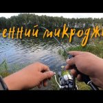 Микроджиг в сентябре. Ловля окуня на спиннинг осенью. Рыбалка на озере.