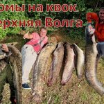 Сомы на квок. Борьба с сильной рыбой