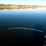 Она показала мне как ловить крупного сазана. Без жены больше не поеду на рыбалку!
