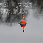 Ловля щуки на живца в октябре! Рыбалка на поплавок осенью