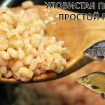 Уловистая перловка для наживки на леща | КАК приготовить перловку для рыбалки