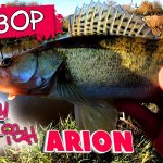 CRAZY FISH ARION ОБЗОР | РЫБАЛКА на РЕКЕ СВИСЛОЧЬ