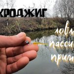 Микроджиг осенью на реке.  Ловля окуня на пассивные приманки.