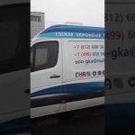 Свежемороженая корюшка с доставкой в СПб и области.