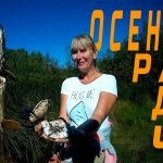 Осенняя раздача в Волго-ахтубинской пойме. Рыбалка БЕЗРОМАРИО.