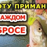 Девчонки оторвались! Силиконовая приманка помогла! Виброхвост орка шед. Семейная рыбалка на окуня