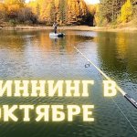 Рыбалка на спиннинг, ловля на джиг и микроджиг осенью 2021. Ловля с лодки в октябре.