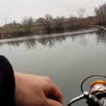 Раздача хорошего окуня! Поклёвки одна за одной на ОТВОДНОЙ! Рыбалка на спиннинг в НОЯБРЕ