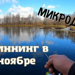 Рыбалка на спиннинг в ноябре.  Микроджиг в городе на новом водоеме. Ловля окуня с берега.