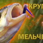 Крупнее или Мельче выбрать мушку? Мушка Синяя Стрекоза в деле.