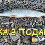 Щука в ноябре. Ловля на классический джиг и воблеры. Как я ловил щуку в подарок :)