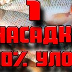 Вся рыба клюёт зимой 1 Насадка для зимней рыбалки 100% улов гарантирован