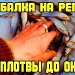 Зимняя рыбалка на репей,ловля плотвы,рыбалка на мормышку