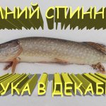 Зимний спиннинг. Ловля щуки в декабре. Классический джиг на силикон Manns Predator и Relax Kopyto