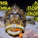 Как поймать скорпену? Теория и практика. Рокфишинг на Черном море. Трофейные ерши на ультралайт!
