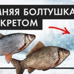 Рабочая ЗИМНЯЯ БОЛТУШКА с секретом. Как правильно сделать болтушку из манки