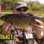 Ловля нахлыстом весной. Первые рыбалки. Начало сезона.