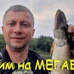 Шесть щук против двух воблеров Мегабасс Вантен 98 и 110