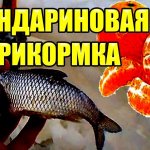 Мандариновая прикормка для зимней рыбалки для ловли рыбы своими руками