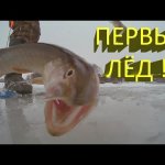 Первый лед в декабре и открытие зимнего сезона. Ловля щуки на жерлицы