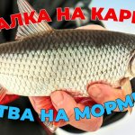 Плотва на мормышку. Ленобласть, зимняя рыбалка