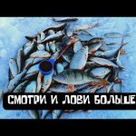 Только ТАК ты поймаешь МНОГО ПЛОТВЫ на мотыля! Зимняя рыбалка 2022. Ловля на мормышку.