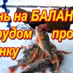 Окунь на балансир с трудом пролез в лунку. Новая лунка, опять окунь. Рыбалка в январе, мертвый сезон