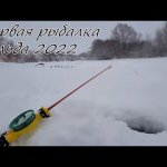 Первая в жизни зимняя рыбалка! Наловили живца на жерлицы