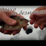 На этой рыбылке выручила безмотылка! Зимняя рыбалка 2022