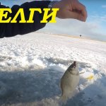 Ловля карася зимой. Зимняя рыбалка. Уелги.