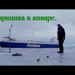 Ловля корюшки на Финском заливе. Рыбалка в Ленинградской области.