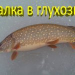 Щука в глухозимье на жерлицы и балансиры. Рыбалка в январе на Исаковском водохранилище