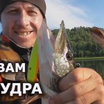 Поговорим о рыбалке: "секретный" глубоководный воблер понтон 21 на щуку