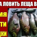 Такую Информацию когда Ловить Леща Весной После Ледохода Вы не Найдёте в Интернете, Снасть, Насадка
