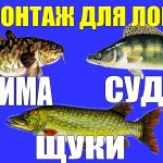 Живцовая Снасть для Ловли Щуки, Судака, Налима, Оснастка Монтажа для Ловли Хищника