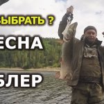 Поговорим о рыбалке: в каких случаях блесна ловит лучше, чем воблер