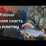 Снасть для ловли плотвы. Зимой