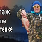 Фидерный монтаж инлайн на плетеном шнуре. Оснастка in-line на шнуре