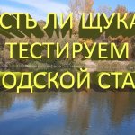 Есть ли здесь щука? Тест городского ставка воблерами ZipBates Orbit 80, Rigge 56, Megabass Oneten 98