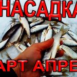 Насадка для Весенней рыбалки на Мормышку, но Только Мало Кто так Ловит  Рыбу Весной на Такую Насадку