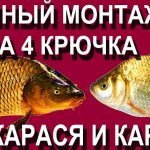 Донный Монтаж на Карася и Карпа на 4 крючка с кормушкой