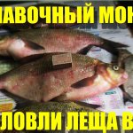 Поплавочный Монтаж для Ловли Леща в Мае для Рыбалки Весной на Удочку