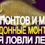 Без Понтов и Мыла про Донные Монтажи для ловли леща на реке