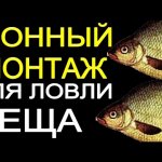 донный монтаж для ловли леща