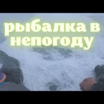 Рыбалка в непогоду. Ловля окуня и плотвы на мормышку весной. оз. Рубское.